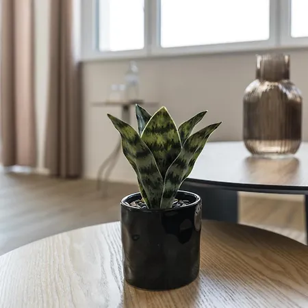 Lindenloft - Modernes Am Lindenbogen *